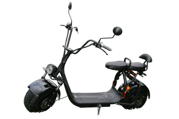 GAEA Fat tyre electric scooter