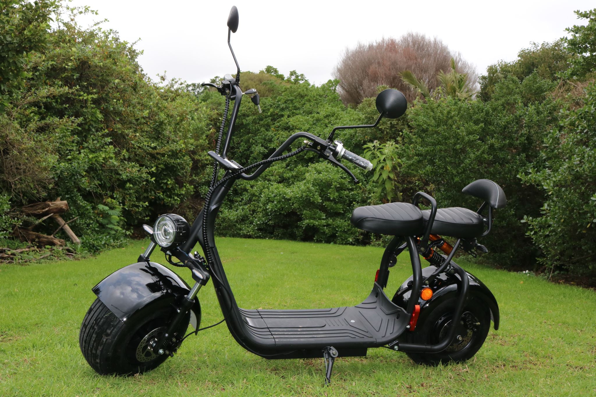 Road Legal Gaea3 Fat Tyre Electric Harley Scooter Motorbike E Scooter Kiwi Hoverboard Scooter Ltd