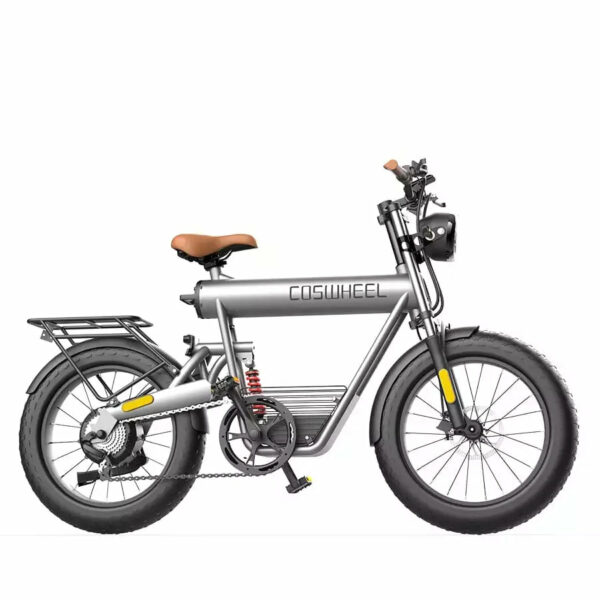 T20R 20AH Electric bike COSWHEEL T20R 48V750W fat tyre EBIKE - Kiwi ...