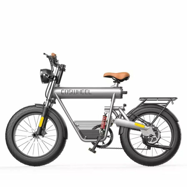 T20R 20AH Electric bike COSWHEEL T20R 48V750W fat tyre EBIKE - Kiwi ...